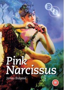 Pink Narcissus (1971)